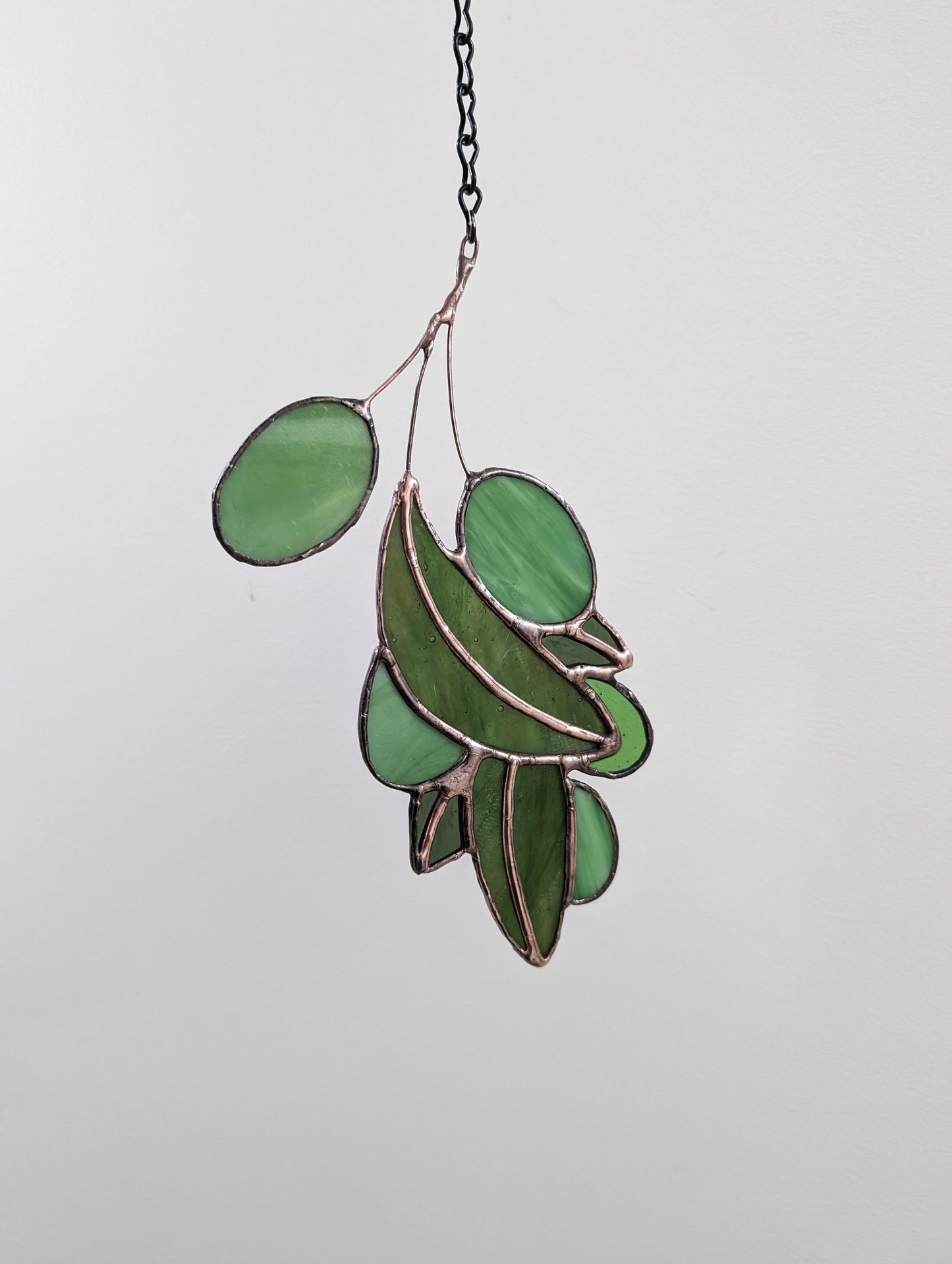 Olive Branch